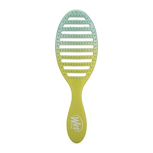 [koz3975] Wet Brush Speed Dry Hair Brush - Green / Blue